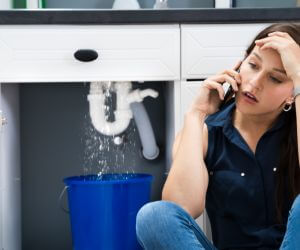 About Plumbers Pros Cantrall, IL